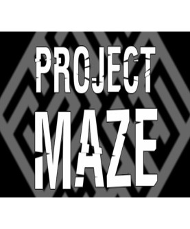 PROJECT MAZE Steam Key GLOBAL